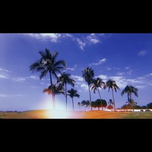 Meet your Posher, Abbey